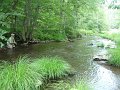 Cedar Run Senic